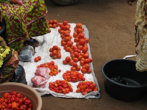 Tomatoes and Peppers