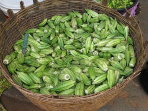 Okra