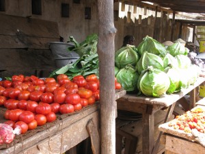 Tomatoes and Cabbage